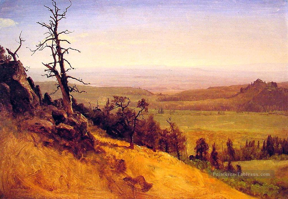 Newbraska Wasatch Montagnes Albert Bierstadt Peintures à l'huile